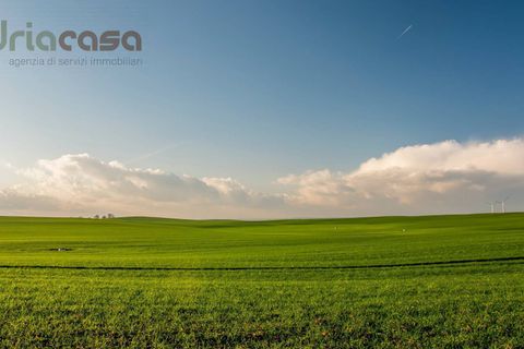 Helårsgrund i Montefiore Conca, Rimini, Montefiore Conca - € 110.000 | Ref: LU100 - foto 1
