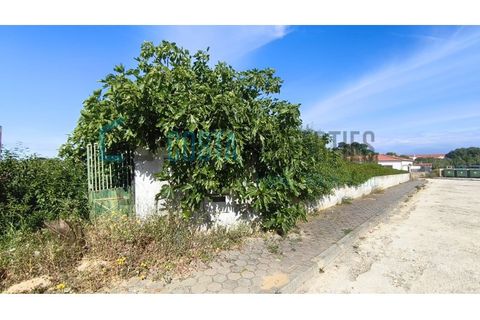 Helårsgrund i Sagres, Faro, Sagres - € 725.000 | Ref: CP-T2604 - foto 11