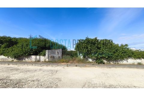 Helårsgrund i Sagres, Faro, Sagres - € 725.000 | Ref: CP-T2604 - foto 12