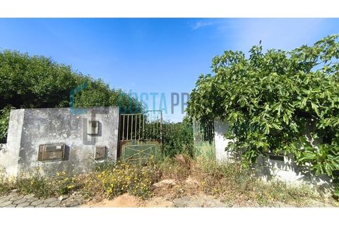 Helårsgrund i Sagres, Faro, Sagres - € 725.000 | Ref: CP-T2604 - foto 15