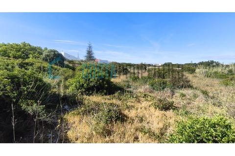 Helårsgrund i Sagres, Faro, Sagres - € 725.000 | Ref: CP-T2604 - foto 21