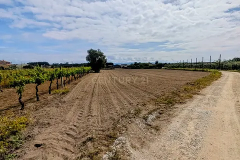 Helårsgrund i Oliveira do Bairro, Aveiro, Oliveira do Bairro - € 88.425 | Ref: C0385-00997 - foto 4