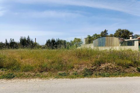 Helårsgrund i Oliveira do Bairro, Aveiro, Oliveira do Bairro - € 30.000 | Ref: C0385-00996 - foto 1