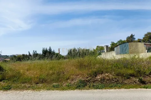 Helårsgrund i Oliveira do Bairro, Aveiro, Oliveira do Bairro - € 30.000 | Ref: C0385-00996 - foto 2