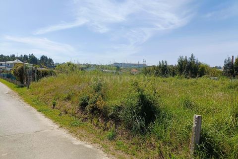 Helårsgrund i Oliveira do Bairro, Aveiro, Oliveira do Bairro - € 30.000 | Ref: C0385-00996 - foto 3