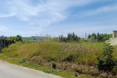 Helårsgrund i Oliveira do Bairro, Aveiro, Oliveira do Bairro - € 30.000 | Ref: C0385-00996 - foto 6