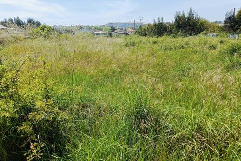 Helårsgrund i Oliveira do Bairro, Aveiro, Oliveira do Bairro - € 30.000 | Ref: C0385-00996 - foto 7