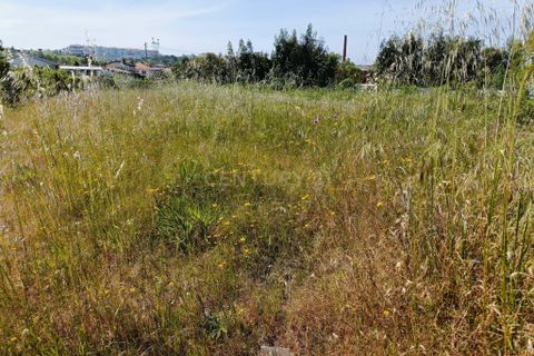 Helårsgrund i Oliveira do Bairro, Aveiro, Oliveira do Bairro - € 30.000 | Ref: C0385-00996 - foto 8