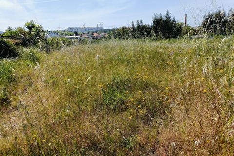 Helårsgrund i Oliveira do Bairro, Aveiro, Oliveira do Bairro - € 30.000 | Ref: C0385-00996 - foto 9