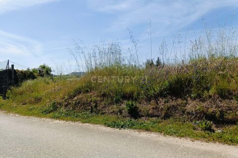 Helårsgrund i Oliveira do Bairro, Aveiro, Oliveira do Bairro - € 30.000 | Ref: C0385-00996 - foto 11