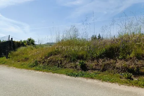Helårsgrund i Oliveira do Bairro, Aveiro, Oliveira do Bairro - € 30.000 | Ref: C0385-00996 - foto 12