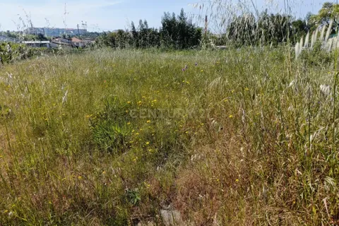 Helårsgrund i Oliveira do Bairro, Aveiro, Oliveira do Bairro - € 30.000 | Ref: C0385-00996 - foto 13