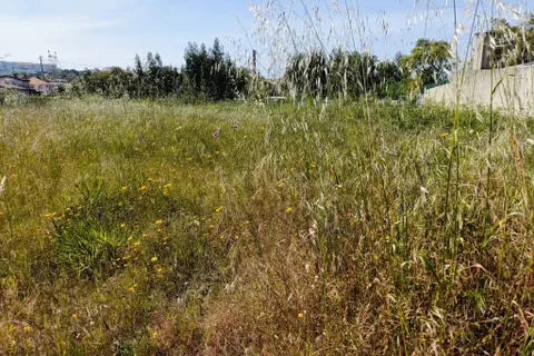 Helårsgrund i Oliveira do Bairro, Aveiro, Oliveira do Bairro - € 30.000 | Ref: C0385-00996 - foto 14