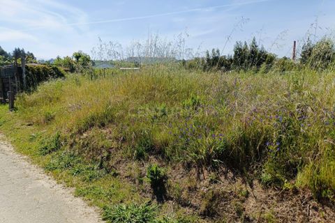 Helårsgrund i Oliveira do Bairro, Aveiro, Oliveira do Bairro - € 30.000 | Ref: C0385-00996 - foto 15
