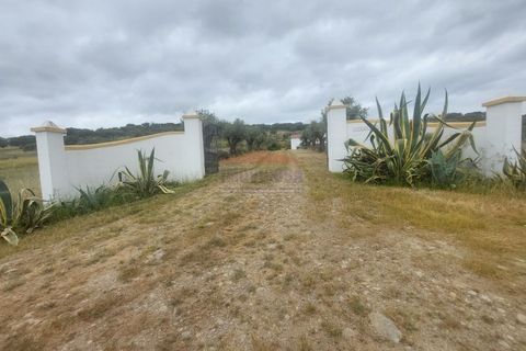 Landejendom i Alandroal, Evora, Alandroal - € 495.000 | Ref: CAS_420 - foto 5