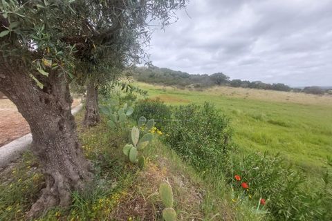 Landejendom i Alandroal, Evora, Alandroal - € 495.000 | Ref: CAS_420 - foto 31
