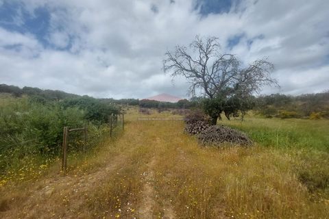 Landejendom i Alandroal, Evora, Alandroal - € 495.000 | Ref: CAS_420 - foto 35