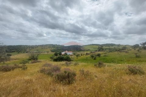 Landejendom i Alandroal, Evora, Alandroal - € 495.000 | Ref: CAS_420 - foto 37