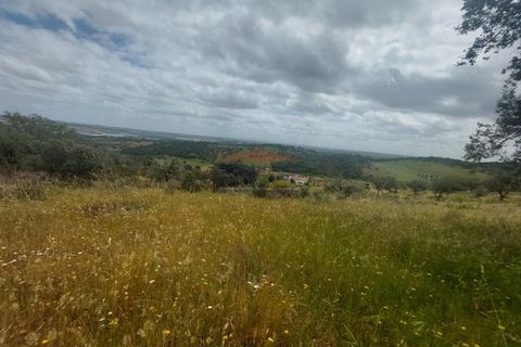 Landejendom i Alandroal, Evora, Alandroal - € 495.000 | Ref: CAS_420 - foto 38