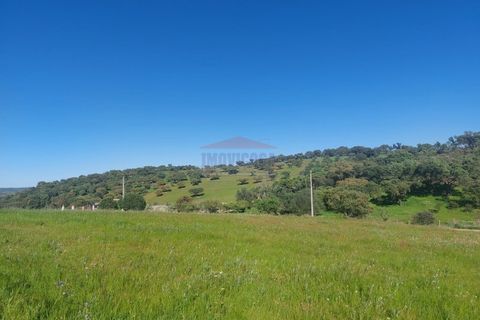 Landejendom i Alandroal, Evora, Alandroal - € 495.000 | Ref: CAS_420 - foto 40