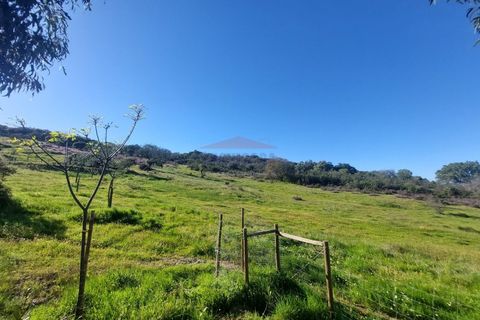Landejendom i Alandroal, Evora, Alandroal - € 495.000 | Ref: CAS_420 - foto 41