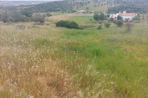 Landejendom i Alandroal, Evora, Alandroal - € 495.000 | Ref: CAS_420 - foto 42