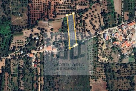 Helårsgrund i Benafim, Faro, Benafim - € 45.000 | Ref: SÒL_278 - foto 2