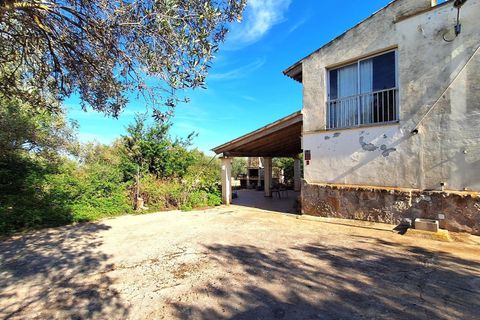 Villa i Palma De Mallorca, Mallorca, Palma De Mallorca - € 996.000 | Ref: trnm21328889 - foto 3