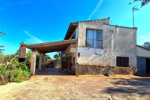 Villa i Palma De Mallorca, Mallorca, Palma De Mallorca - € 996.000 | Ref: trnm21328889 - foto 29
