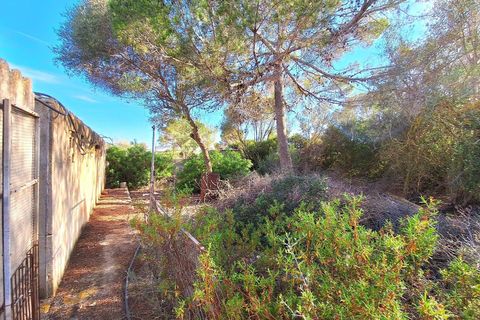 Villa i Palma De Mallorca, Mallorca, Palma De Mallorca - € 996.000 | Ref: trnm21328889 - foto 33