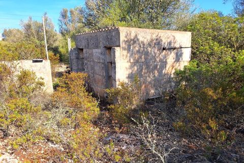 Villa i Palma De Mallorca, Mallorca, Palma De Mallorca - € 996.000 | Ref: trnm21328889 - foto 34