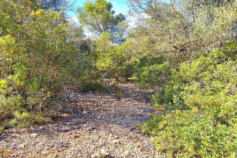 Villa i Palma De Mallorca, Mallorca, Palma De Mallorca - € 996.000 | Ref: trnm21328889 - foto 35
