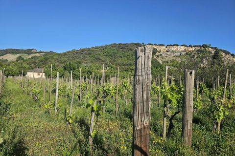 Helårsgrund i Cornas, Ardeche, Cornas - € 131.000 | Ref: Laura_0405CornasT - foto 1