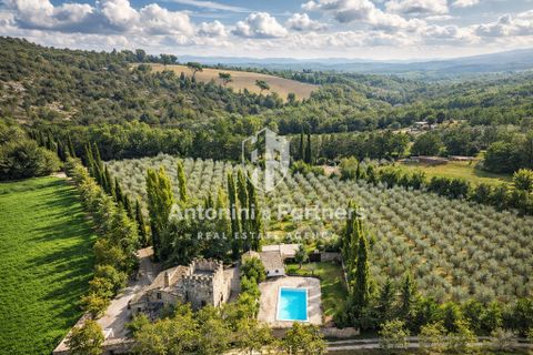 Villa i Todi, Perugia, Todi - € 790.000 | Ref: 65896-1-1 - foto 4