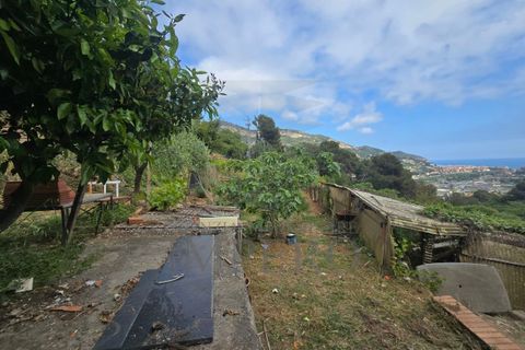 Villa i Ventimiglia, Imperia, Ventimiglia - € 350.000 | Ref: 23871 - foto 22