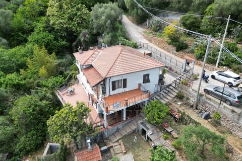 Villa i Ventimiglia, Imperia, Ventimiglia - € 350.000 | Ref: 23871 - foto 45