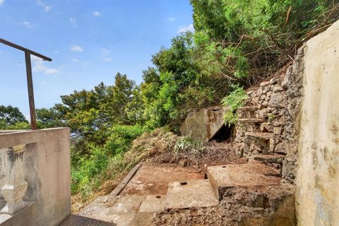 Villa i Camara de Lobos, Madeira, Camara de Lobos - € 255.000 | Ref: 081260076 - foto 24