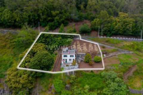 Villa i Camara de Lobos, Madeira, Camara de Lobos - € 255.000 | Ref: 081260076 - foto 2