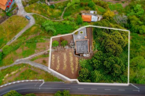 Villa i Camara de Lobos, Madeira, Camara de Lobos - € 255.000 | Ref: 081260076 - foto 3