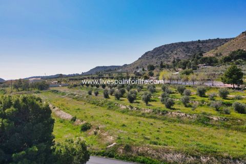 Terra a Aspe, Alicante, Aspe - € 80.000 | Ref: Asp Plot1-D - foto 3