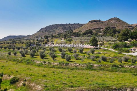 Terra a Aspe, Alicante, Aspe - € 80.000 | Ref: Asp Plot2-D - foto 2
