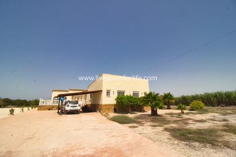 Landejendom i Catral, Alicante, Catral - € 399.000 | Ref: Cat DCA - foto 41