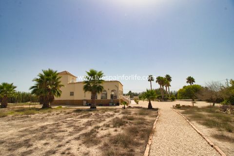 Landejendom i Catral, Alicante, Catral - € 399.000 | Ref: Cat DCA - foto 45