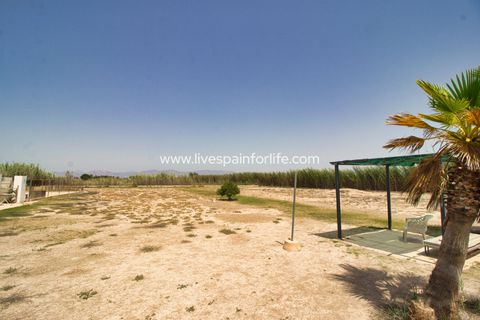 Landejendom i Catral, Alicante, Catral - € 399.000 | Ref: Cat DCA - foto 49