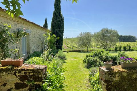 Villa a Sauveterre-de-Guyenne, Gironde, Sauveterre-de-Guyenne - € 689.000 | Ref: 5849 - foto 17