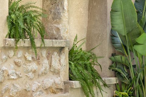 Villa i Alaro, Mallorca, Alaro - € 1.550.000 | Ref: 7740 - foto 12