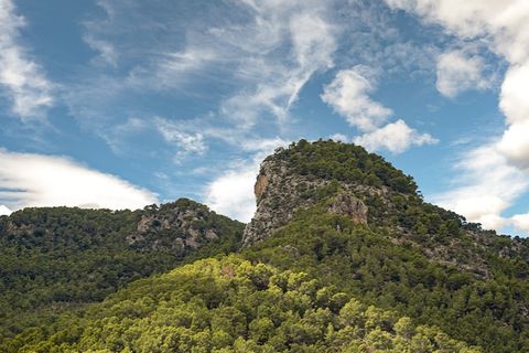 Villa i Alaro, Mallorca, Alaro - € 1.550.000 | Ref: 7740 - foto 22