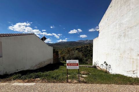 Terrain - Riogordo, Malaga - photo 1