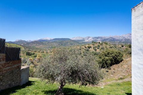 Terrain - Riogordo, Malaga - photo 3