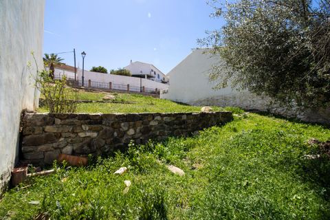 Terrain - Riogordo, Malaga - photo 5